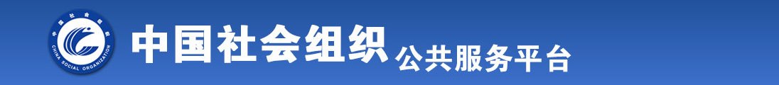 艹逼小网站全国社会组织信息查询